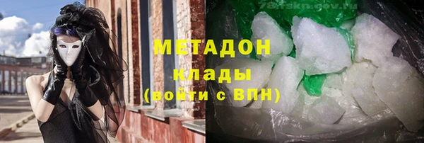 прущие грибы Абинск