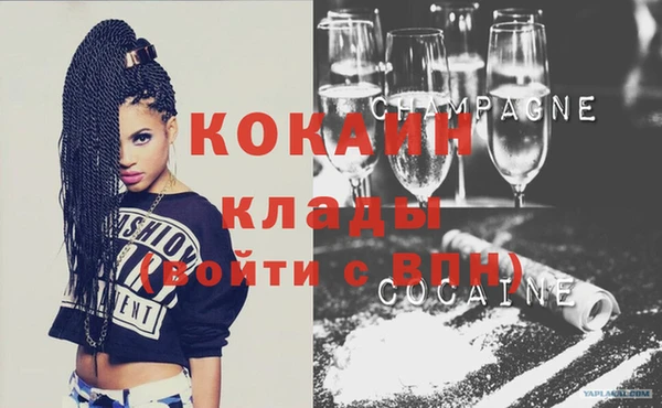 прущие грибы Абинск